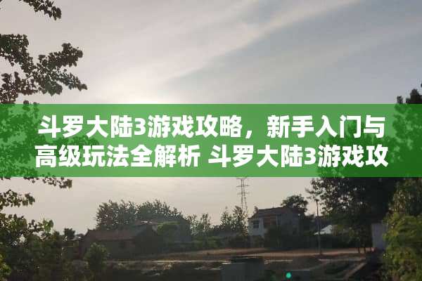 斗罗**3游戏攻略，新手入门与高级玩法全解析 斗罗**3游戏攻略