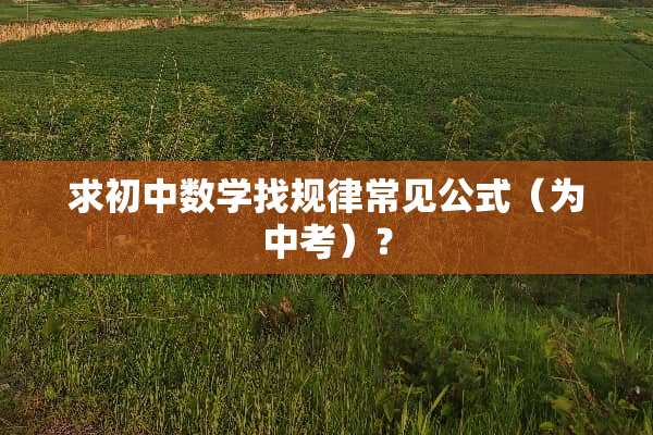 求初中数学找规律常见公式（为中考）？
