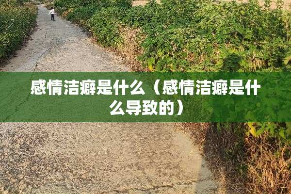 感情洁癖是什么（感情洁癖是什么导致的）