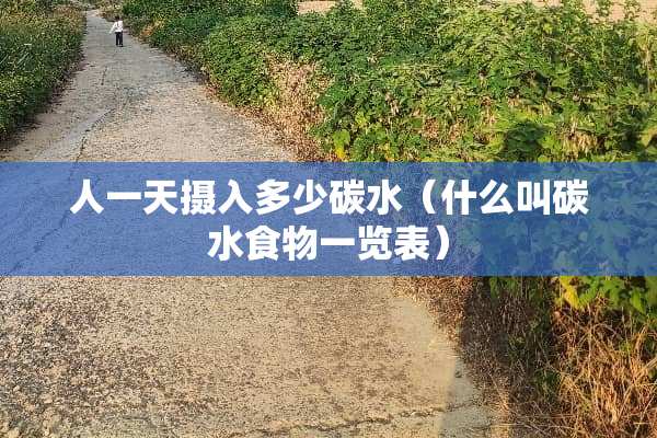 人一天摄入多少碳水（什么叫碳水食物一览表）