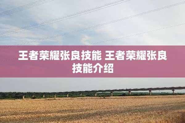 王者荣耀张良技能 王者荣耀张良技能介绍