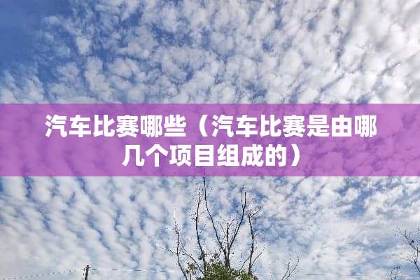 汽车比赛哪些（汽车比赛是由哪几个项目组成的）
