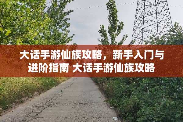 大话手游仙族攻略，新手入门与进阶指南 大话手游仙族攻略