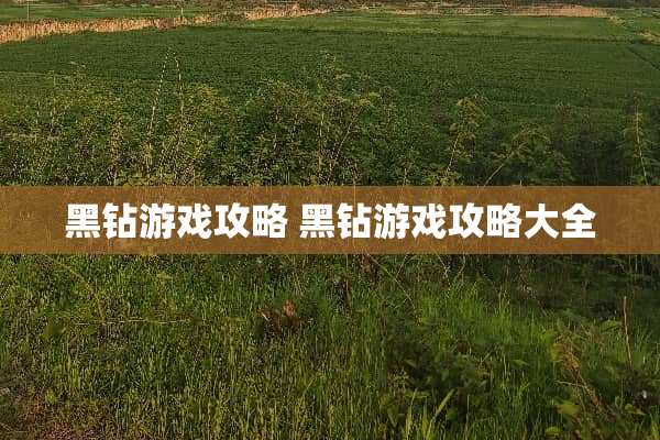 黑钻游戏攻略 黑钻游戏攻略大全