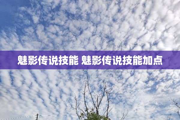 魅影传说技能 魅影传说技能加点