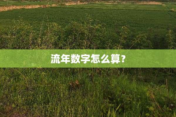 流年数字怎么算？