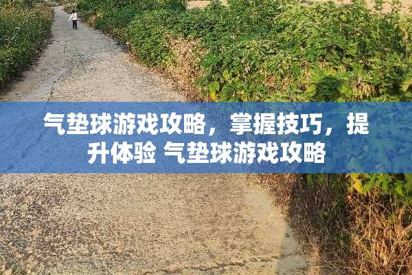 气垫球游戏攻略，掌握技巧，提升体验 气垫球游戏攻略