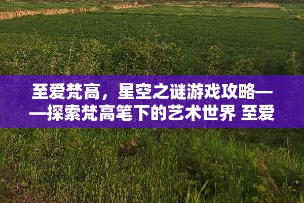 至爱梵高，星空之谜游戏攻略——探索梵高笔下的艺术世界 至爱梵高游戏攻略