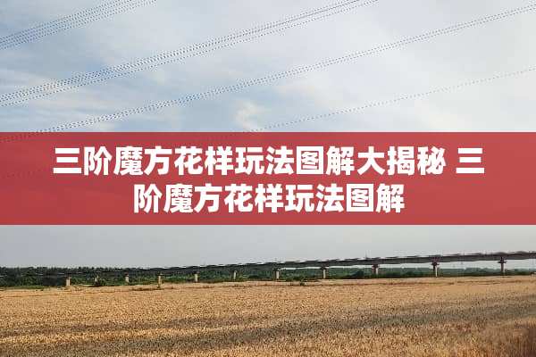 三阶魔方花样玩法图解大揭秘 三阶魔方花样玩法图解