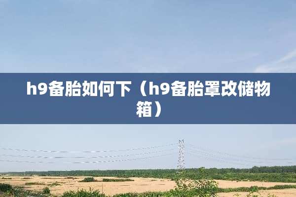 h9备胎如何下（h9备胎罩改储物箱）