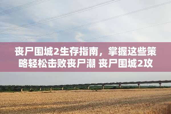 丧尸围城2生存指南，掌握这些策略轻松击败丧尸潮 丧尸围城2攻略