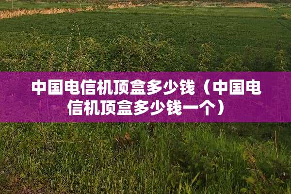 中国电信机顶盒多少钱（中国电信机顶盒多少钱一个）