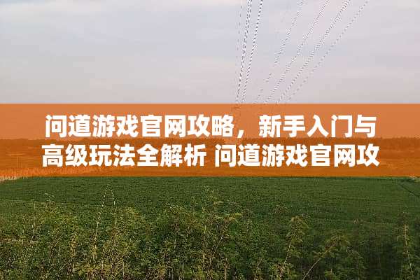 问道游戏官网攻略，新手入门与高级玩法全解析 问道游戏官网攻略