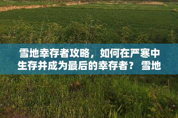 雪地幸存者攻略，如何在严寒中生存并成为最后的幸存者？ 雪地幸存者攻略