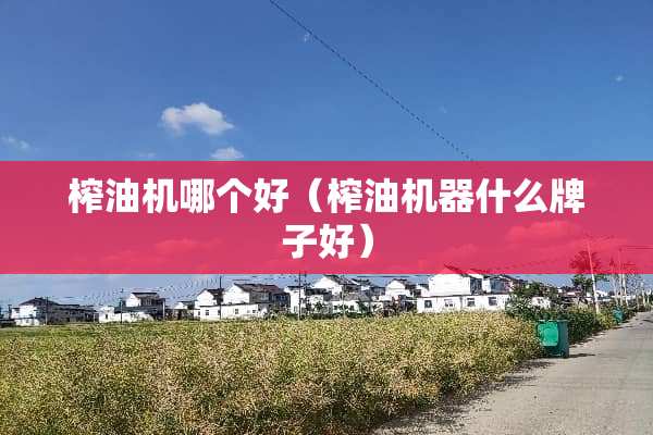榨油机哪个好（榨油机器什么牌子好）