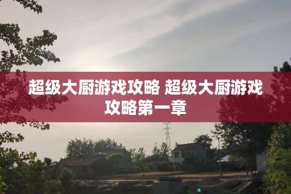 超级大厨游戏攻略 超级大厨游戏攻略第一章