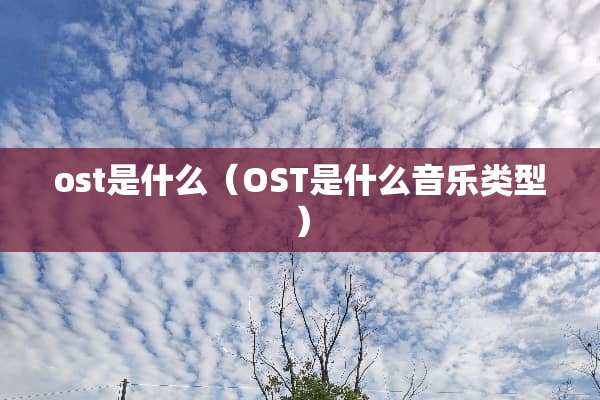 ost是什么（OST是什么音乐类型）