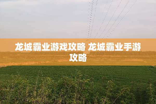 龙城霸业游戏攻略 龙城霸业手游攻略