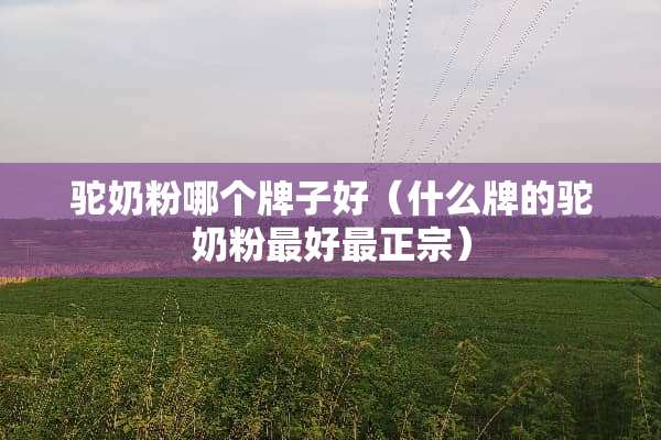 驼奶粉哪个牌子好（什么牌的驼奶粉最好最正宗）