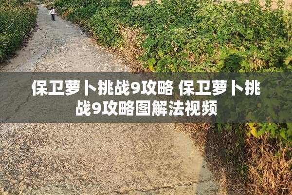 保卫萝卜挑战9攻略 保卫萝卜挑战9攻略图解法视频
