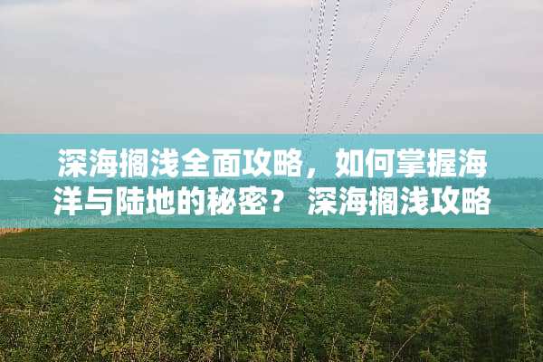 深海搁浅全面攻略，如何掌握海洋与陆地的秘密？ 深海搁浅攻略