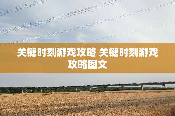 关键时刻游戏攻略 关键时刻游戏攻略图文