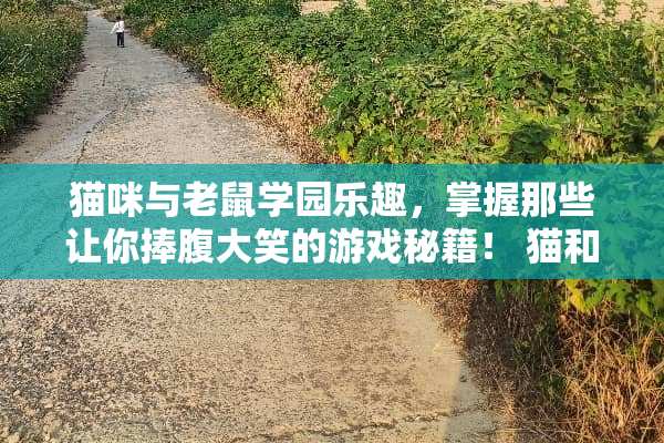 猫咪与老鼠学园乐趣，掌握那些让你捧腹大笑的游戏秘籍！ 猫和老鼠学生游戏攻略