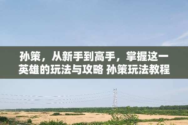 孙策，从新手到高手，掌握这一英雄的玩法与攻略 孙策玩法教程