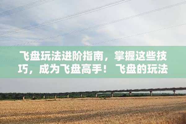 飞盘玩法进阶指南，掌握这些技巧，成为飞盘高手！ 飞盘的玩法技巧