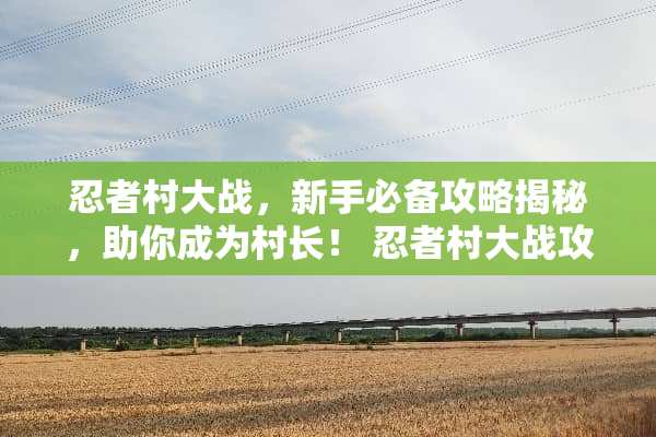 忍者村大战，新手必备攻略揭秘，助你成为村长！ 忍者村大战攻略