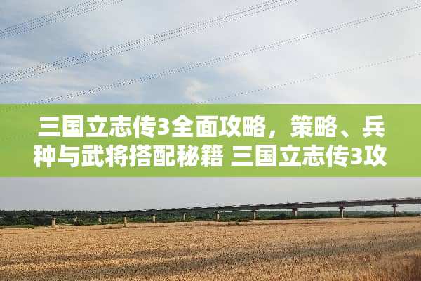 三国立志传3全面攻略，策略、兵种与武将搭配秘籍 三国立志传3攻略