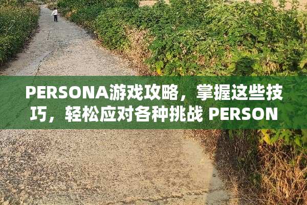 PERSONA游戏攻略，掌握这些技巧，轻松应对各种挑战 PERSONA游戏攻略