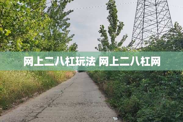网上二八杠玩法 网上二八杠网