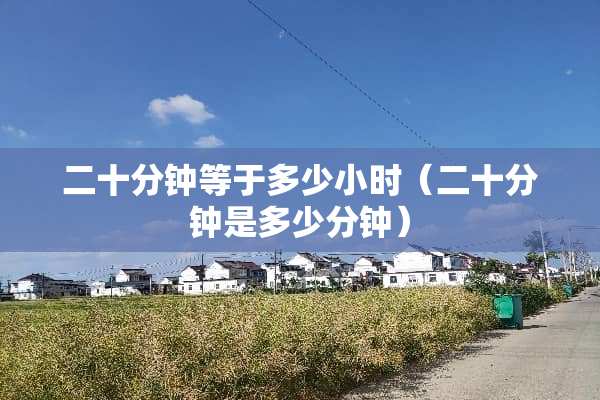 二十分钟等于多少小时（二十分钟是多少分钟）