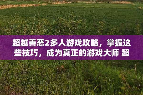 超越善恶2多人游戏攻略，掌握这些技巧，成为真正的游戏大师 超越善恶2多人游戏攻略