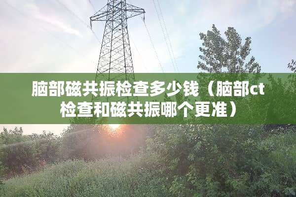 脑部磁共振检查多少钱（脑部ct检查和磁共振哪个更准）