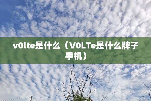v0lte是什么（V0LTe是什么牌子手机）