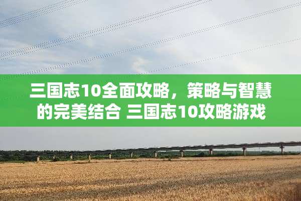 三国志10全面攻略，策略与智慧的完美结合 三国志10攻略游戏