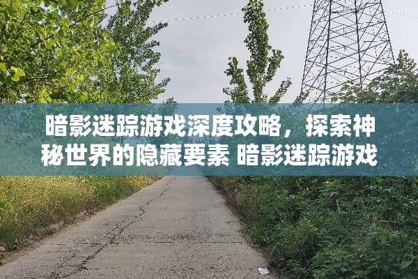 暗影迷踪游戏深度攻略，探索神秘世界的隐藏要素 暗影迷踪游戏攻略
