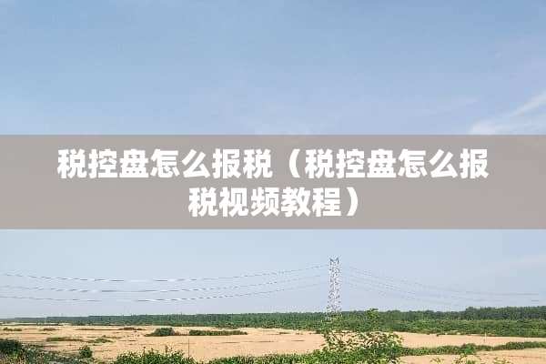 税控盘怎么**（税控盘怎么**视频教程）