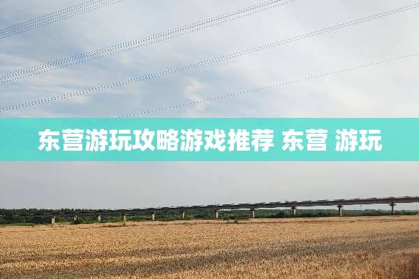东营游玩攻略游戏推荐 东营 游玩