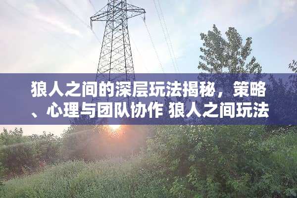 狼人之间的深层玩法揭秘，策略、心理与团队协作 狼人之间玩法
