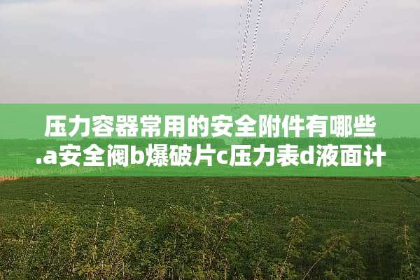 压力容器常用的安全附件有哪些.a安全阀b**片c压力表d液面计e取样阀？