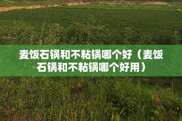 麦饭石锅和不粘锅哪个好（麦饭石锅和不粘锅哪个好用）