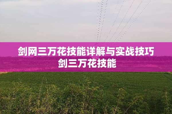 剑网三万花技能详解与实战技巧 剑三万花技能