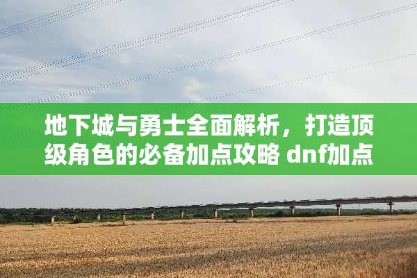 **城与勇士全面解析，打造**角色的必备加点攻略 dnf加点攻略