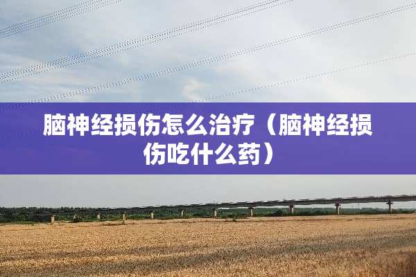 脑神经损伤怎么治疗（脑神经损伤吃什么药）