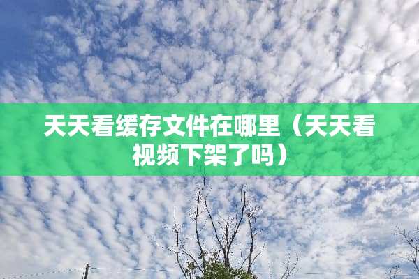 天天看缓存文件在哪里（天天看视频下架了吗）