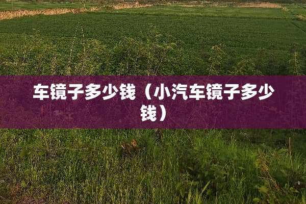 车镜子多少钱（小汽车镜子多少钱）