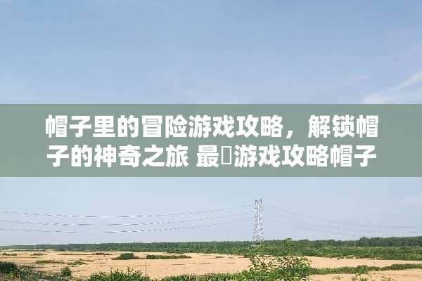 帽子里的冒险游戏攻略，解锁帽子的神奇之旅 最囧游戏攻略帽子